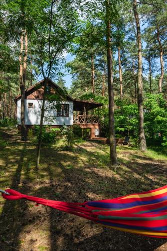 Landskap semula jadi dekat dengan rumah percutian