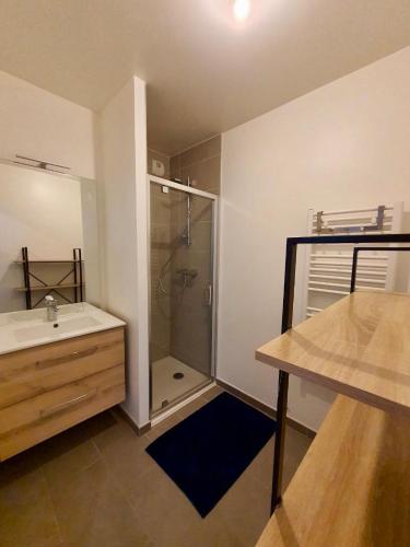 une salle de bain avec douche et lavabo dans l'établissement Le petit marquisat à deux pas du lac, à Annecy