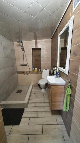 uma casa de banho com um WC, um lavatório e um chuveiro em Cinema Hostel Järvakandi em Järvakandi