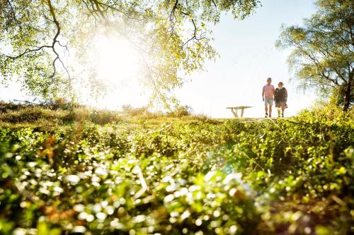 two people walking down a grassy hill with the sun shining at Stadshotel Rijssen in Rijssen