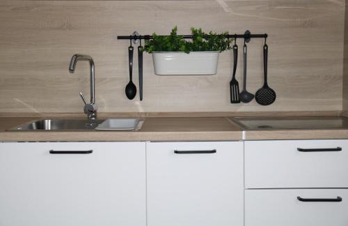 Η κουζίνα ή μικρή κουζίνα στο Apartman Relax