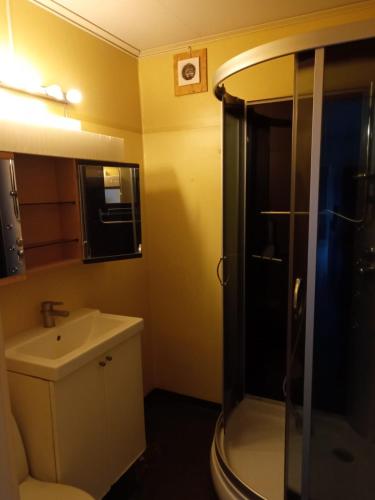 La salle de bains est pourvue d'une douche et d'un lavabo. dans l'établissement Ferienhaus Smaland Annerstad Skeen nahe Bolmen Baden Angeln Kanu, à Annerstad
