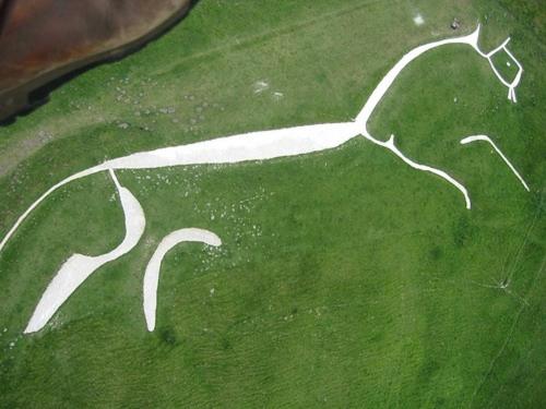 a drawing of a horse on a green field at The Fox & Hounds in Faringdon