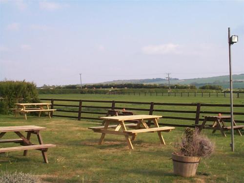 a group of picnic tables in a field at The Fox & Hounds in Faringdon