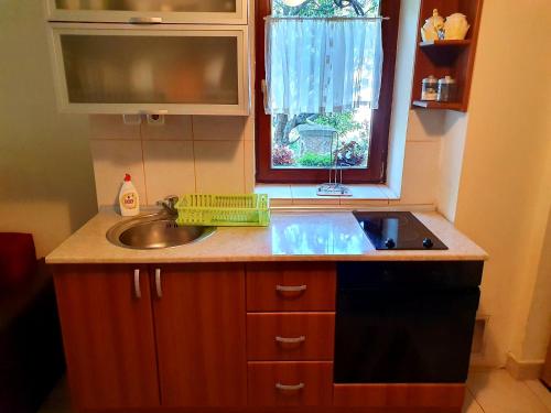 a small kitchen with a sink and a window at Apartman Sergej 2 in Soko Banja
