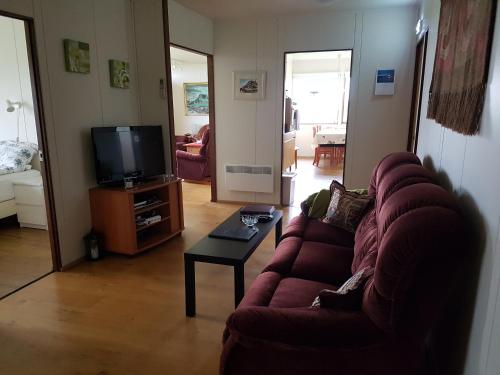 a living room with a couch and a tv at Miðjanes Reykhólahrepp in Reykhólar