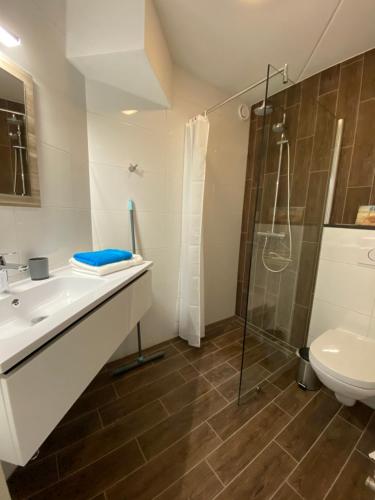 een badkamer met een wastafel, een douche en een toilet bij Texelheerlijk 10 in De Koog
