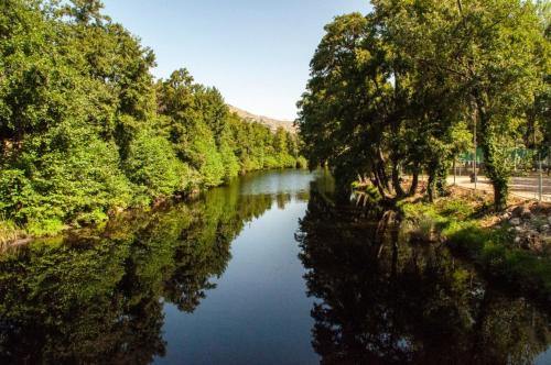 a river with trees reflecting in the water at Quintinha Viçosa in Aldeia Viçosa