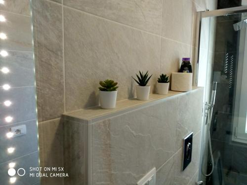 a bathroom with a shelf with potted plants on it at Mandracchio Central Apartment in Grado
