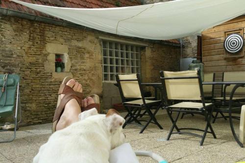 une personne posant sur une chaise avec un chien dans l'établissement L'appart, à Grandcamp-Maisy