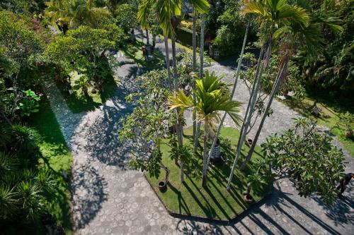 an overhead view of a garden with palm trees and a bench at Tandjung Sari Hotel in Sanur
