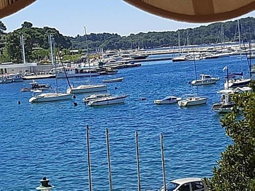 Apartment Adriatic Sea View Zoe