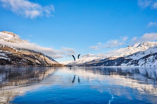 two birds flying over a lake with snow covered mountains at Maloja Palace Residence Engadin-St Moritz CO2-Neutral in Maloja