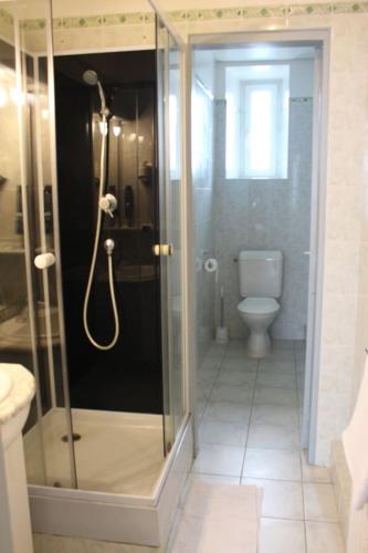 a bathroom with a shower and a toilet at Hotel de Normandie in Gournay-en-Bray