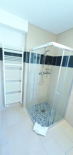 a shower with a glass enclosure in a bathroom at Pension Zum Riedensee in Kühlungsborn