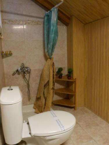 ein Badezimmer mit einem weißen WC und einer Dusche in der Unterkunft D&K Studio in Mirina