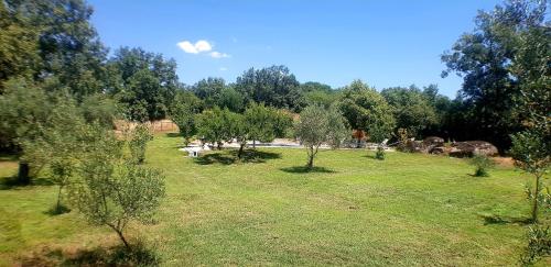 a field with trees and cows in the distance at Casa Rural Colmenarejo in Cuacos de Yuste