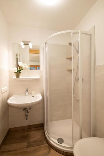 a bathroom with a shower and a sink at B & B Apartments Ortlerblick in Sluderno