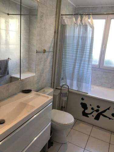 a bathroom with a toilet and a sink and a shower at Chambres d'hôte du Domaine de la Reine Blanche in Criquetot-sur-Longueville