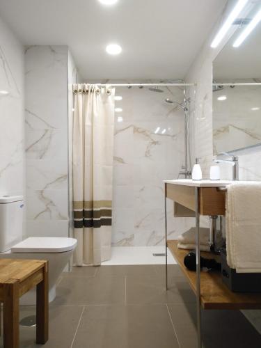 a bathroom with a shower and a toilet and a sink at Apartamento El Manin in Villaviciosa