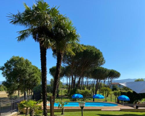 a swimming pool with palm trees and blue umbrellas at Jenny's Country Dreamhouse in Arezzo