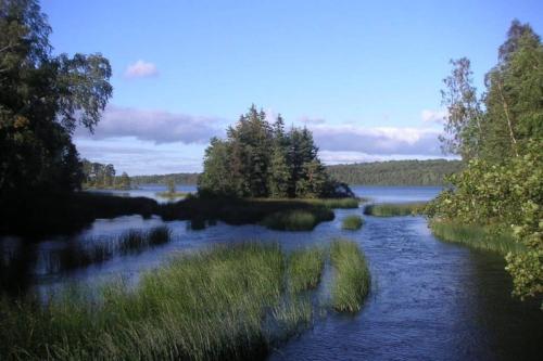 a view of a river with grass and trees at Romantiskt hus Stina in Lammhult