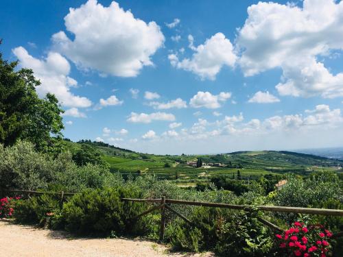 a view from a hill with a fence and flowers at Agriturismo La Perlara - Adults Only in Verona