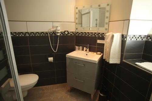 La salle de bains est pourvue d'un lavabo, de toilettes et d'un miroir. dans l'établissement RELAIS DU TAURION, à Saint-Priest-Taurion