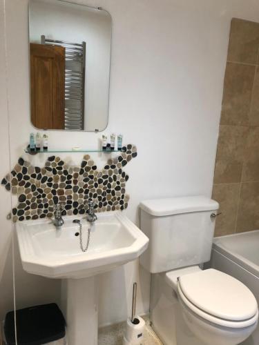 a bathroom with a toilet and a sink and a mirror at Lincoln Holiday Retreat View with Private Hot Tub in Lincoln