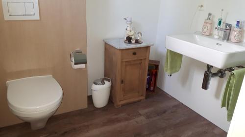 łazienka z toaletą i umywalką w obiekcie Romantisches Gästehäuschen 