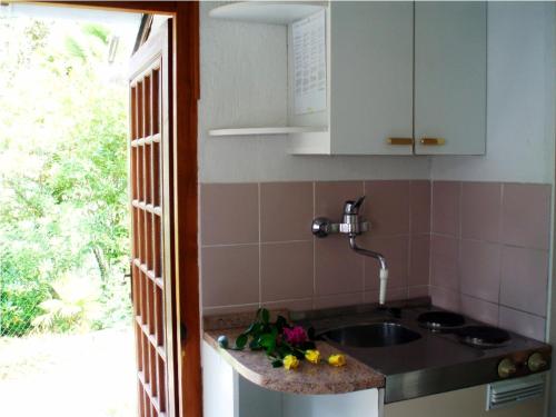 een keuken met een wastafel en een aanrecht met een raam bij Holiday Home More in Umag