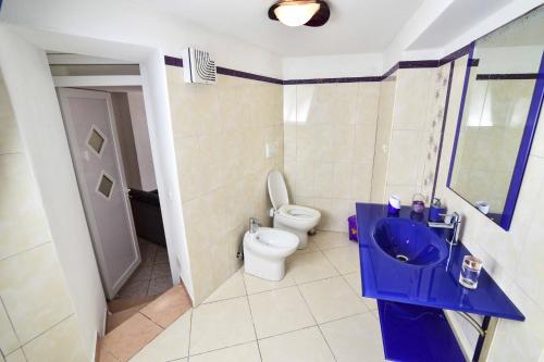 a bathroom with a toilet and a blue sink at SOLEMAREPONZA Casa la Randa in Ponza
