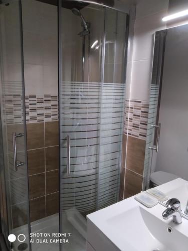 une salle de bain avec une douche en verre et un lavabo dans l'établissement Chalet Hotel Les Marmottes 2 étoiles NN, à Montferrier
