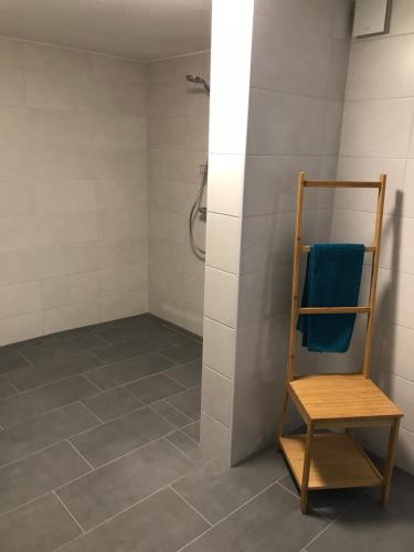 a bathroom with a shower and a wooden chair at Ferienwohnung „Frosch“ in Neukirchen-Balbini
