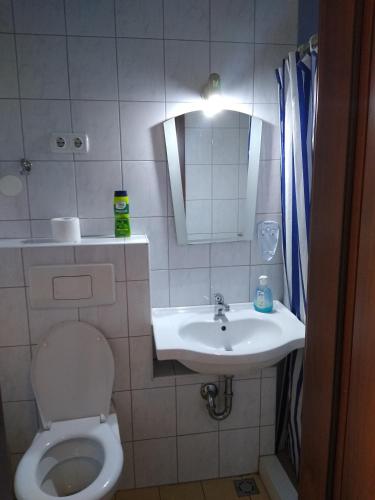 Bilik mandi di Guest House - Batak