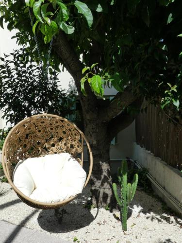 Le jardin du port