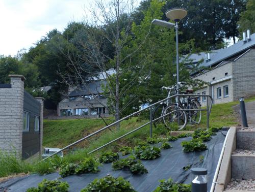 a bike parked on a pole in a garden at Les terrasses de Malmedy Studio 333 Yellow Grey in Malmedy