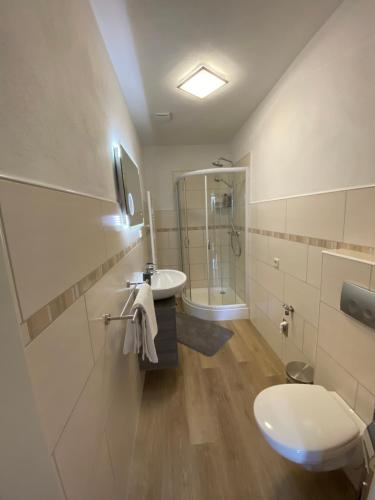 W łazience znajduje się toaleta, umywalka i prysznic. w obiekcie Pension Florion w mieście Bernburg (Saale)