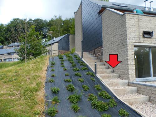 a row of plants on the steps of a house at Les terrasses de Malmedy Studio 333 Yellow Grey in Malmedy