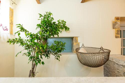 Fotografie z fotogalerie ubytování Villa Aprinia v destinaci Karé