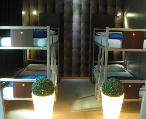 two bunk beds in a room with two plants at albergue SANTO SANTIAGO in Santiago de Compostela