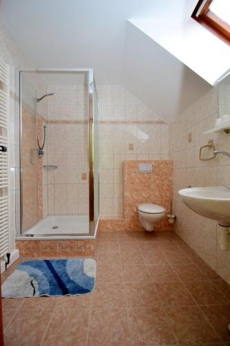 a bathroom with a shower and a toilet and a sink at Apartmány Florian in Frymburk