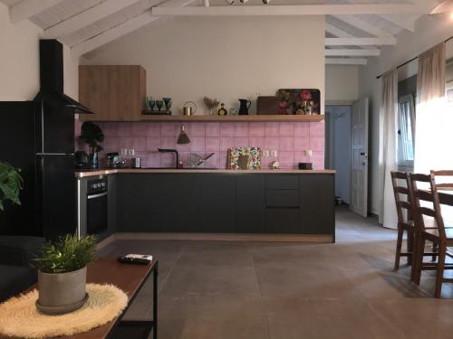 a kitchen with a counter and a pink wall at Rigo’s apartment in Platamonas