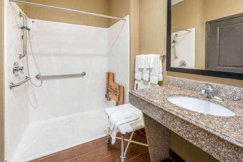 a bathroom with a tub and a sink and a shower at La Quinta by Wyndham Boutte in Boutte