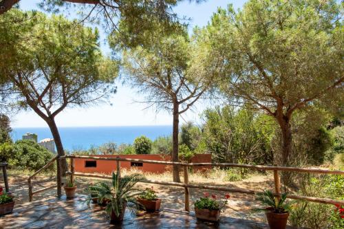 Tenuta Le Rocchette – Fotografie 4
