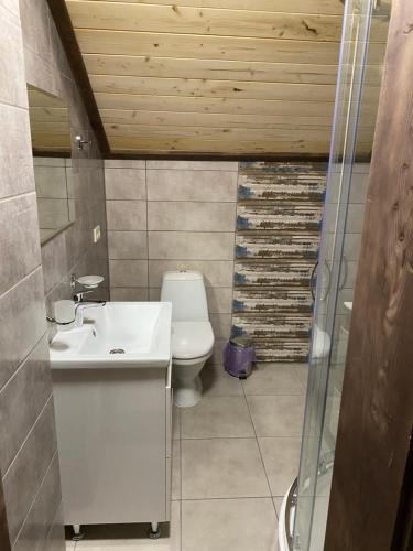 La salle de bains est pourvue d'un lavabo et de toilettes. dans l'établissement Hotel Gerdan Verkhovina, à Verkhovyna