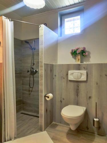 a bathroom with a toilet and a shower at Aurora Ház in Zalakaros