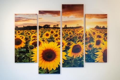Imagen de la galería de Avantura Studio, en Zlatibor