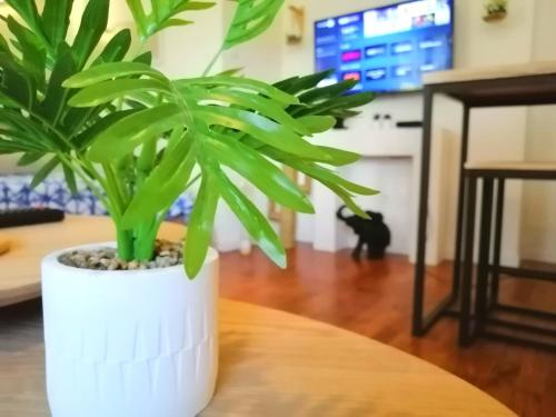 Photo de la galerie de l'établissement Le 1970, à Grenoble