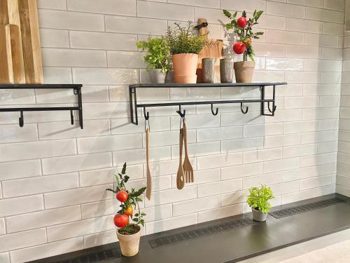 a wall with shelves with potted plants on it at Skyline Airport Hotel in Vantaa